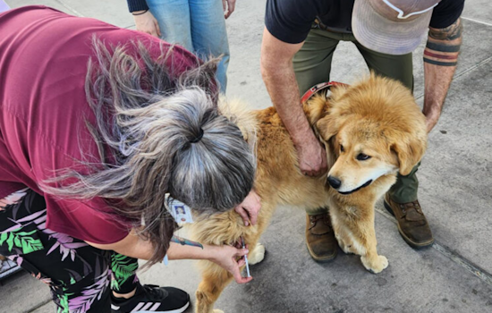 Valley Center Hosts Successful Pet Microchip and Vaccine Clinic Amid LA Fires, Attracts Residents from Escondido to Vista