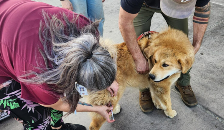 Valley Center Hosts Successful Pet Microchip and Vaccine Clinic Amid LA Fires, Attracts Residents from Escondido to Vista