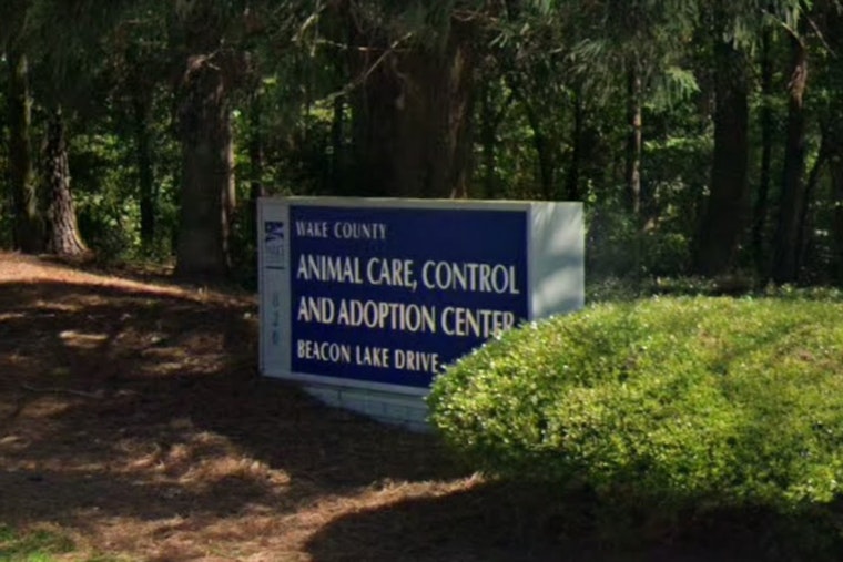 Wake County Animal Center Launches New Year New Pet Adoption Campaign in Raleigh with Reduced Fees