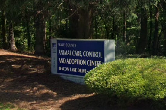 Wake County Animal Center Launches New Year New Pet Adoption Campaign in Raleigh with Reduced Fees