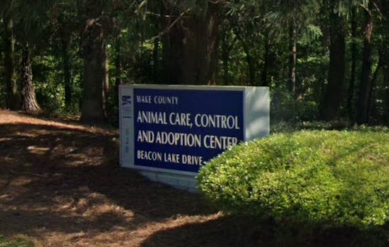 Wake County Animal Center Launches New Year New Pet Adoption Campaign in Raleigh with Reduced Fees