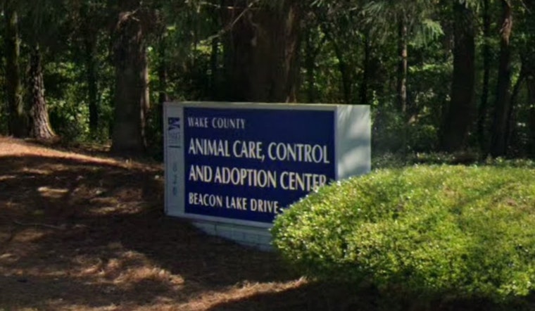 Wake County Animal Center Launches New Year New Pet Adoption Campaign in Raleigh with Reduced Fees