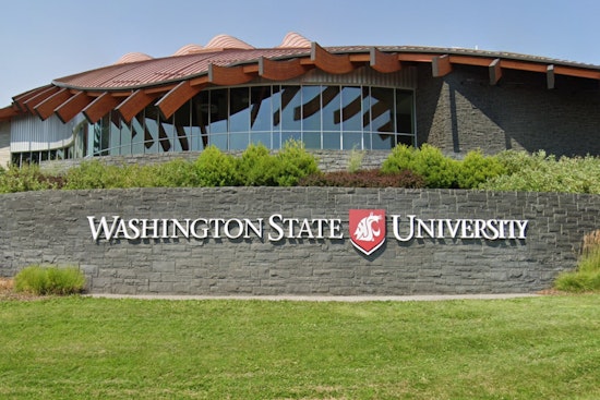 Washington State University Pioneers Plant-Powered Plastic Foam, Taking on $75 Billion Market