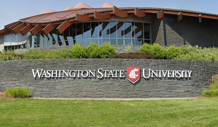 Washington State University Pioneers Plant-Powered Plastic Foam, Taking on $75 Billion Market