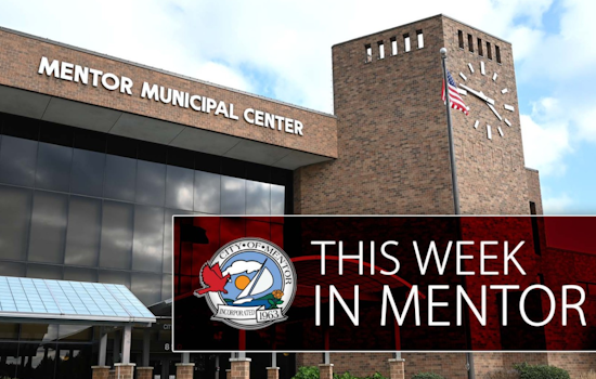 Week of Excitement in Mentor: Council Meeting, Tree Recycling, and Chill Out Winter Festivities on the Agenda