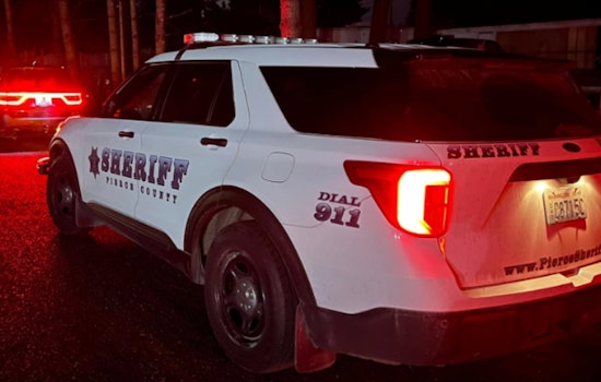 Weekend Crime Spree Shakes Pierce County: Burglary, Vandalism, and Hit-and-Run Put Public on Alert