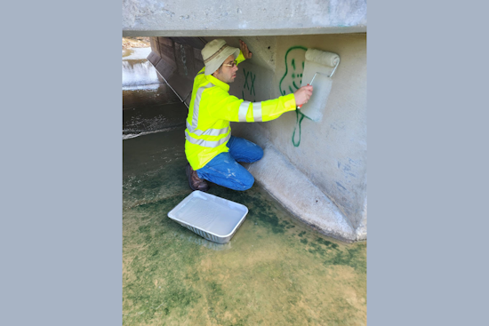White Settlement's Stormwater Team Tackles Graffiti and Prepares Tree-Lifting Initiative for Safer, Cleaner City