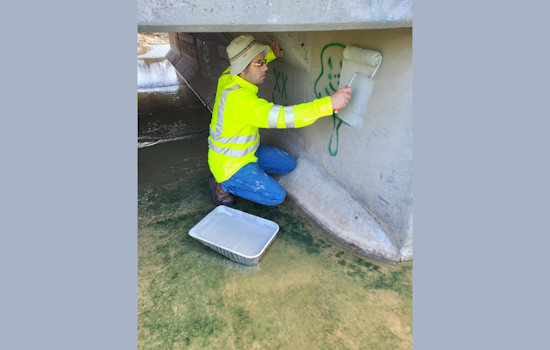 White Settlement's Stormwater Team Tackles Graffiti and Prepares Tree-Lifting Initiative for Safer, Cleaner City