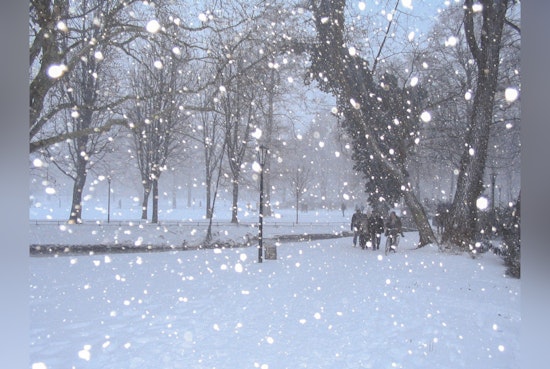 Winter Storm Warning Issued for Philadelphia and Surrounding Counties, Up to 6 Inches of Snow Expected