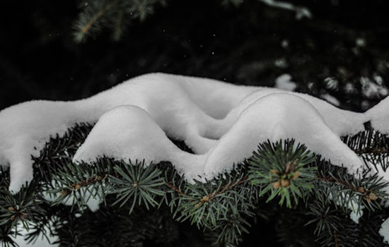 Winter Strikes Again, Milwaukee, Racine and Kenosha Brace for Snowfall and Sub-Zero Temps