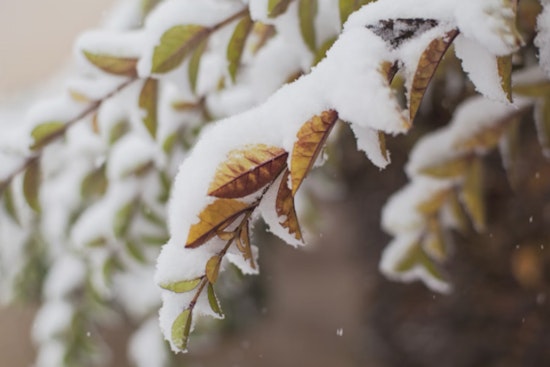 Winter Weather Advisory in Effect for Southern Maryland and Fredericksburg, Commuters Warned of Slippery Conditions