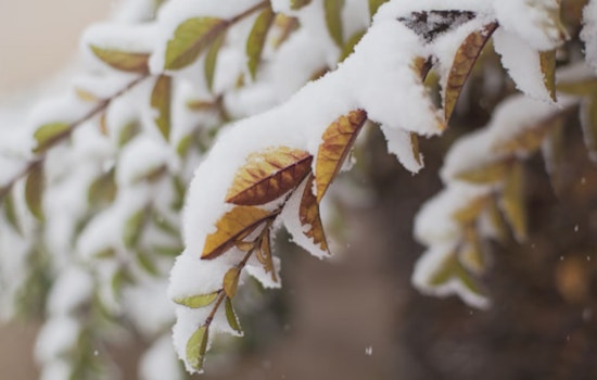 Winter Weather Advisory in Effect for Southern Maryland and Fredericksburg, Commuters Warned of Slippery Conditions