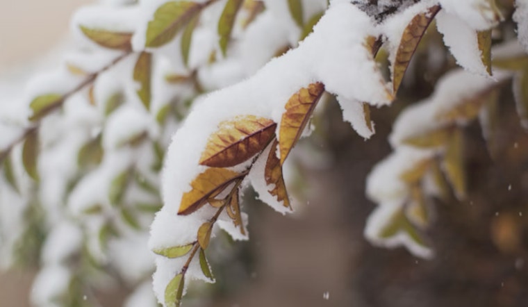 Winter Weather Advisory in Effect for Southern Maryland and Fredericksburg, Commuters Warned of Slippery Conditions