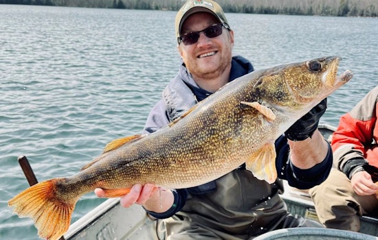 Wisconsin DNR Launches Educational Series on Walleye Management in Florence and Forest Counties