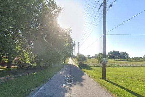 Woman Dies in Single-Car Collision with Tree on Indy's South Side, IMPD Investigating