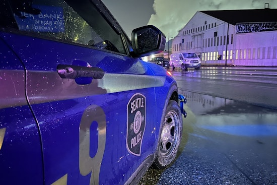 Woman Fatally Struck by Vehicle on East Marginal Way in South Seattle, Police Investigation Underway