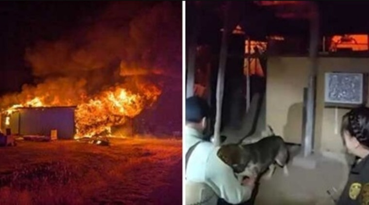 Yavapai County Deputies Hailed as Heroes for Rescuing Resident and Dog from Blaze in Cordes Lakes