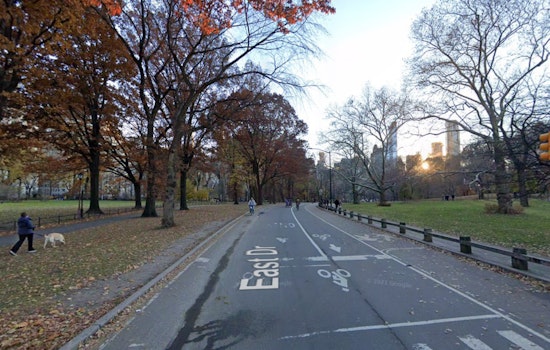Young Man Found Dead in Central Park Amid Frigid NYC Temperatures, Investigation Underway