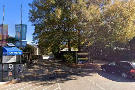 Zoo Atlanta Shuts Doors Due to Frigid Weather, Metro Area Hit by Extreme Cold Warning
