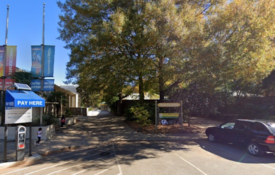 Zoo Atlanta Shuts Doors Due to Frigid Weather, Metro Area Hit by Extreme Cold Warning