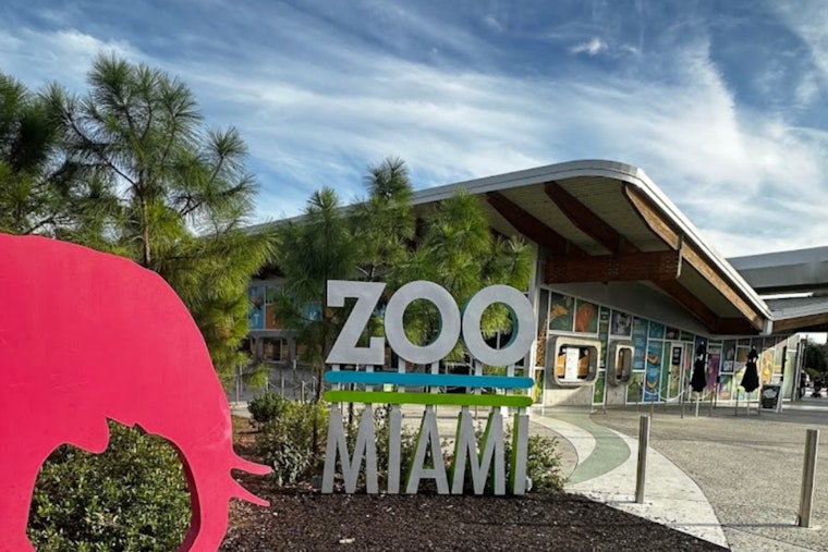 Zoo Miami's Wild Inhabitants Receive Expert Dental Care to Prevent Health Issues