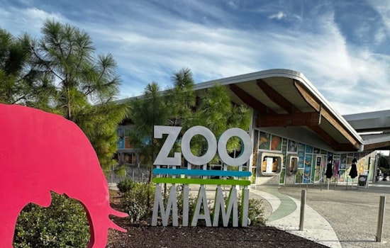 Zoo Miami's Wild Inhabitants Receive Expert Dental Care to Prevent Health Issues