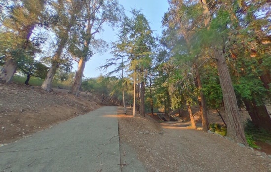 3 Men Allegedly Kidnapped Woman After App Meetup in San Rafael; Police Rescue Her at Remote Trail