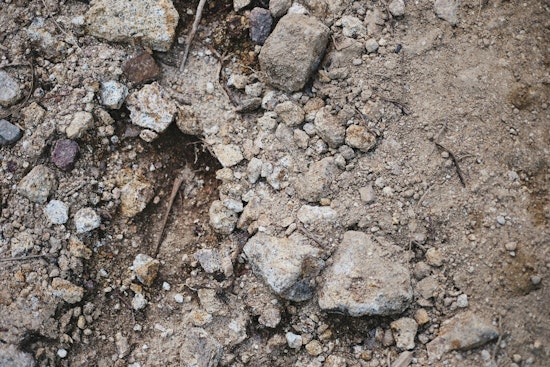 4,270-Year-Old Human Remains Discovered Near Indiana's Whitewater River Offer Glimpse into Prehistoric Past