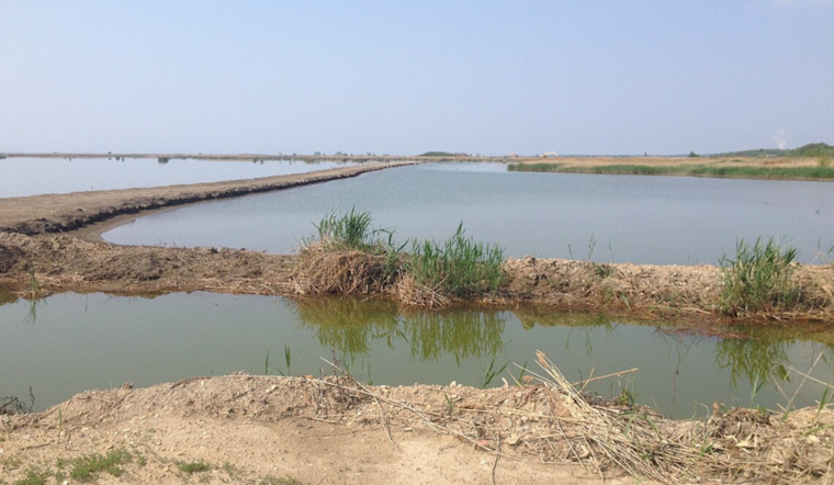 67-Year-Old Man Drowns Near Hart-Miller Island While Crabbing from Boat