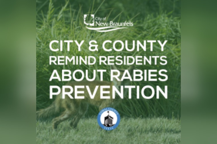 Alert Issued in New Braunfels and Comal County as Rabies Cases Reach 20 for the Year
