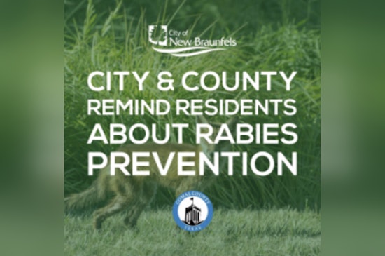 Alert Issued in New Braunfels and Comal County as Rabies Cases Reach 20 for the Year