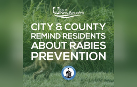 Alert Issued in New Braunfels and Comal County as Rabies Cases Reach 20 for the Year