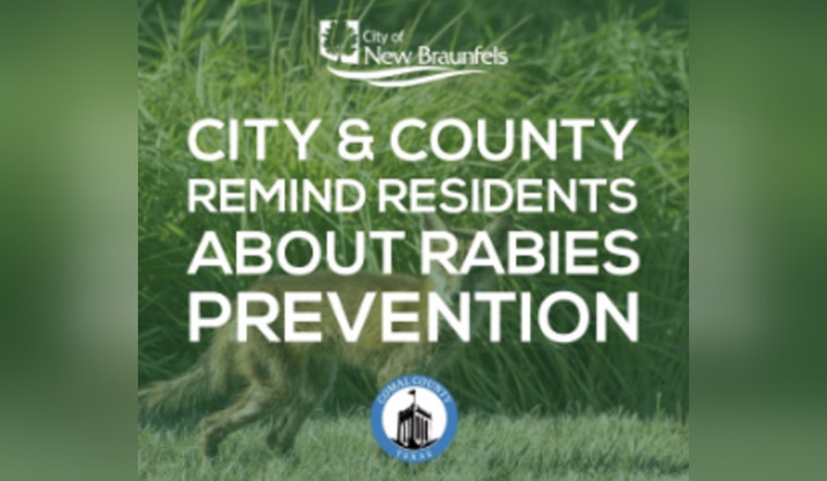 Alert Issued in New Braunfels and Comal County as Rabies Cases Reach 20 for the Year