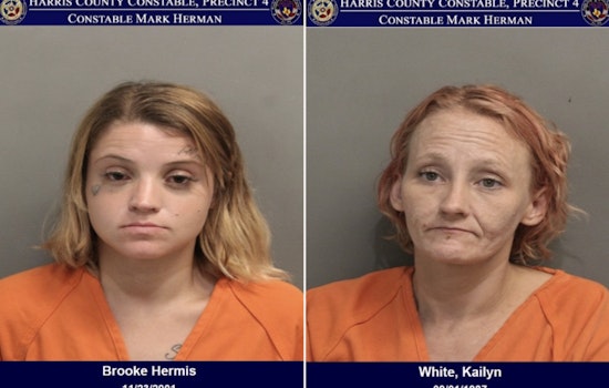 Alleged Copper Thieves Arrested at Vacant North Houston Property by Constable Deputies