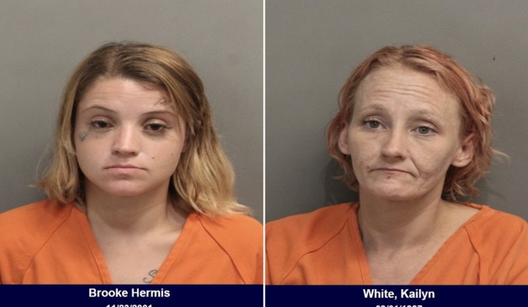 Alleged Copper Thieves Arrested at Vacant North Houston Property by Constable Deputies