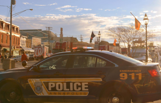 Annapolis Police Search for Cherished Turtle Statue Stolen from Chesapeake Children's Museum