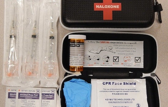 Anoka County Rallies Community with Opioid Solution Initiative: Engaging Speakers, Naloxone Training on the Agenda