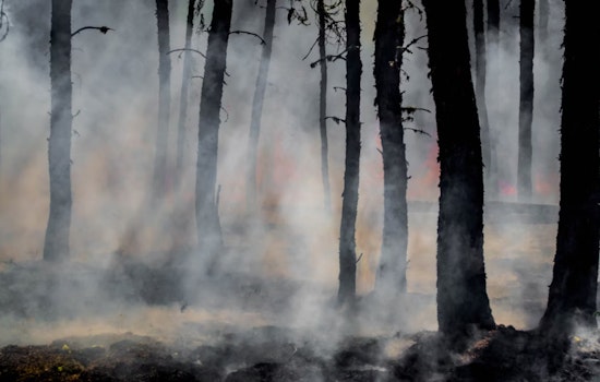 Apache-Sitgreaves National Forests to Begin Controlled Burns in Black Mesa District to Curb Wildfire Risk