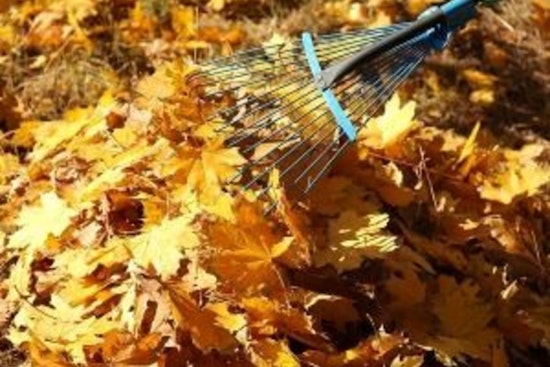 Apple Valley Residents Reminded to Dispose of Leaves Properly to Avoid Fines