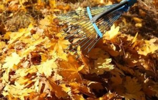 Apple Valley Residents Reminded to Dispose of Leaves Properly to Avoid Fines