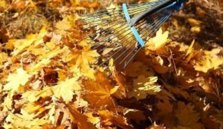 Apple Valley Residents Reminded to Dispose of Leaves Properly to Avoid Fines