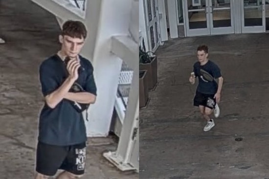 Arlington Police Seek Public's Help to Identify Suspect in Jewelry Theft at Parks Mall
