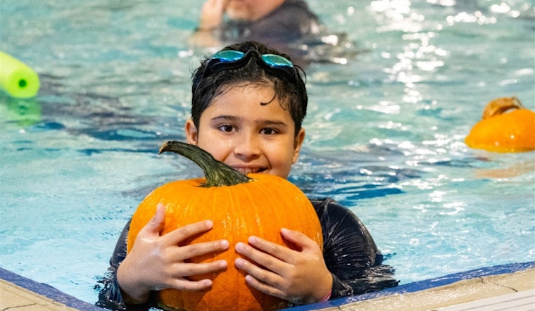 Arlington's October Festivities: Lanterns, Health Expo, Pumpkin Pools, and Trick-or-Treating Fun