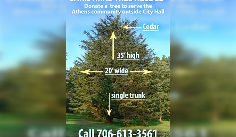 Athens-Clarke County Calls on Locals to Donate a Majestic Cedar for City Hall's Christmas Display