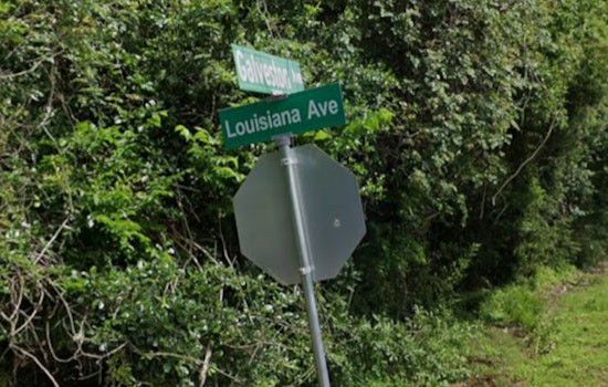 Bacliff Man Fatally Injured in Attack by His Own Dogs, Galveston County Sheriff's Office Reports