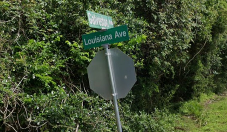 Bacliff Man Fatally Injured in Attack by His Own Dogs, Galveston County Sheriff's Office Reports