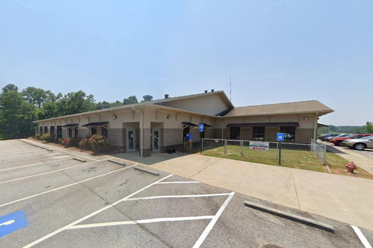 Barrow County Animal Shelter Seeks Community Help as Capacity Crisis Looms