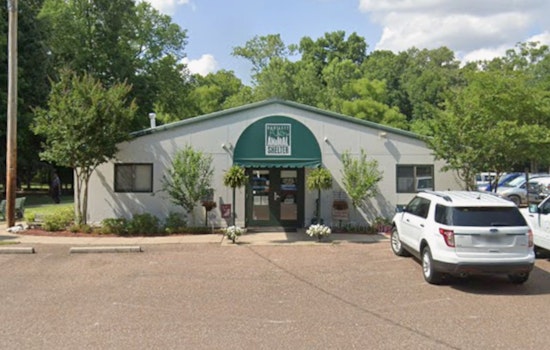 Bartlett Animal Shelter Implements 10-Day Pause on Dog Intakes Amid Parvovirus Case