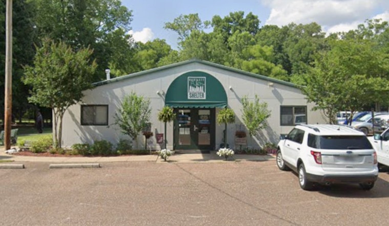 Bartlett Animal Shelter Implements 10-Day Pause on Dog Intakes Amid Parvovirus Case