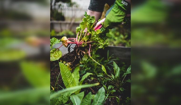 Bipartisan Bill Aims to Bolster Organic Farming Through Expanded USDA Research and Support